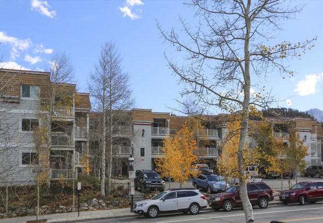 Condominium in Breckenridge - Tannhauser 222